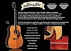Morgan Monroe Vintage Voice M20 Acoustic