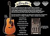 Morgan Monroe Vintage Voice M25CE Electric Acoustic