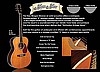 Morgan Monroe Vintage Voice M30 Acoustic