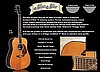 Morgan Monroe Vintage Voice M50 Acoustic