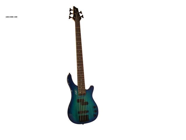 5 String Custom Design Bass