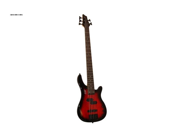 5 String Custom Design Bass (Redburst)