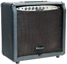 KONA 30 Watt Bass/Keyboard Amp