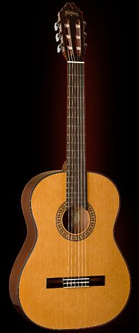 Washburn C40 Classical