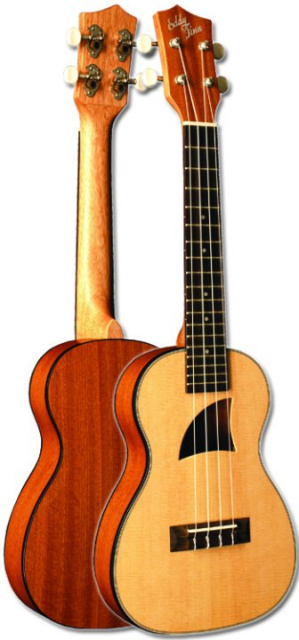 Eddy Finn Thin Body Concert Uke