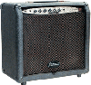 KONA 30 Watt Bass/Keyboard Amp